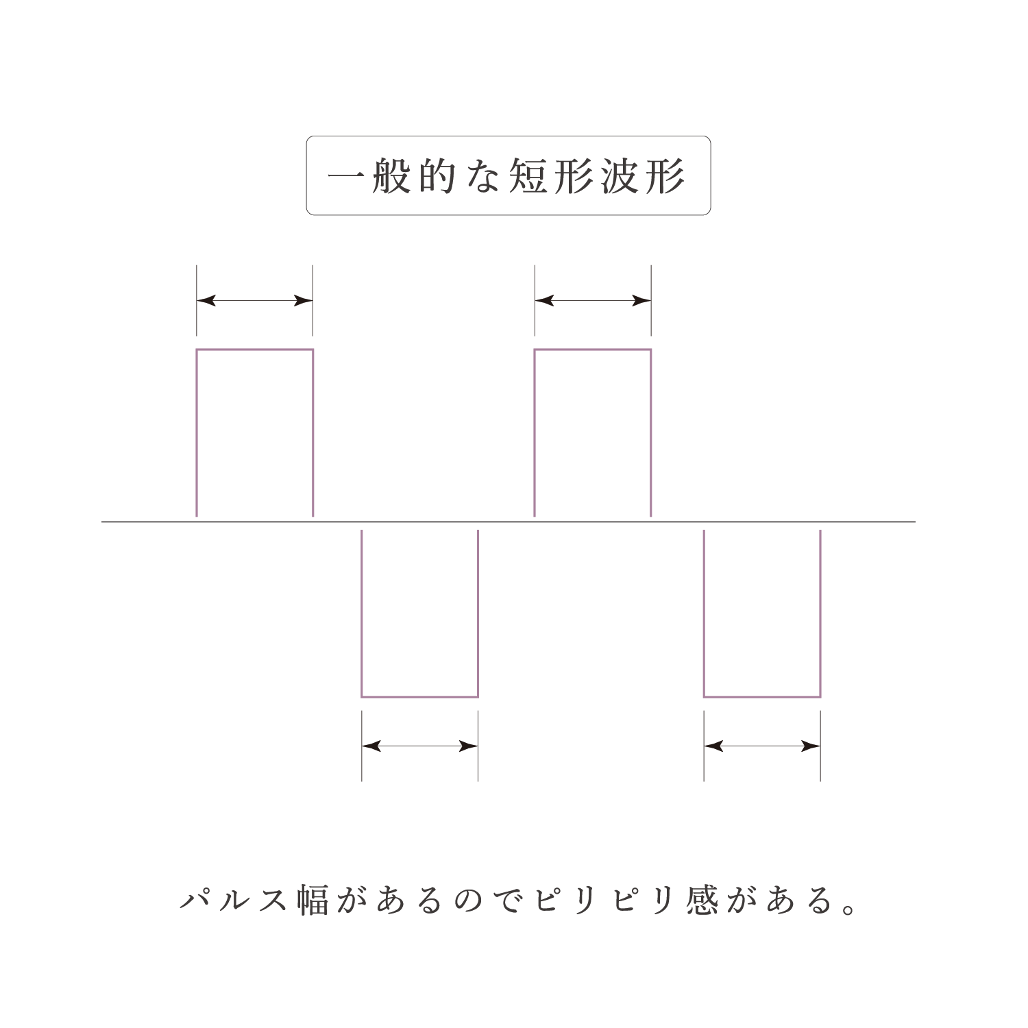 エレクトロポレーション内容